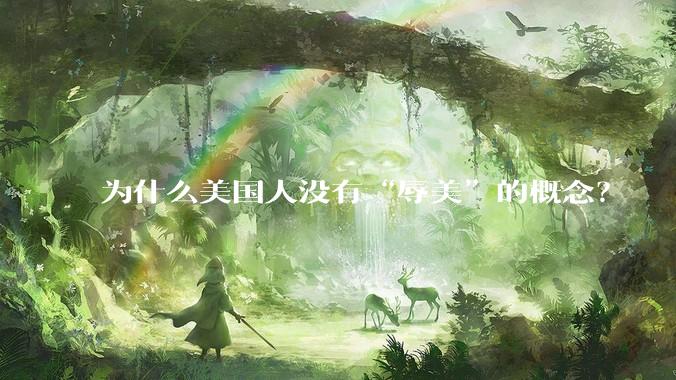 为什么美国人没有“辱美”的概念？