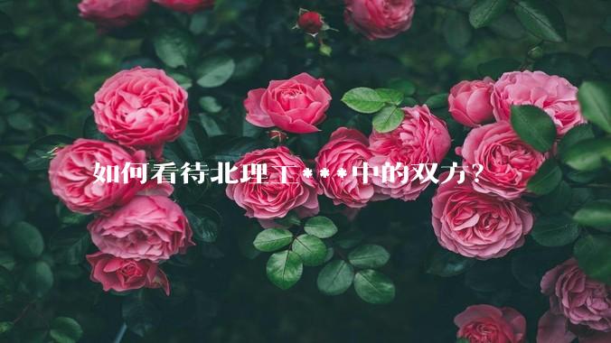 如何看待北理工***中的双方？
